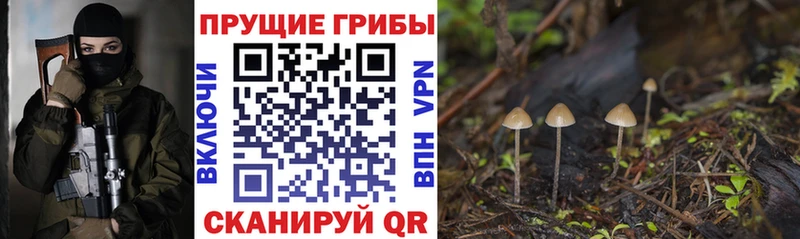 Галлюциногенные грибы мухоморы  цены наркотик  Белёв 